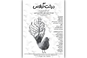 نبرد پرنده‌ها با دارکوب زورگو در تالار هنر