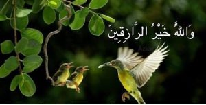 روزیِ بی‌منت خدا؛ چرا رزق الهی با هیچ بخششی قابل مقایسه نیست؟