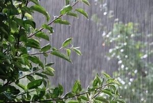 هشدار زرد برای تهران تا دوشنبه، ۶ مهر/ باران، رعدوبرق و باد شدید در راه / احتمال برف در ارتفاعات